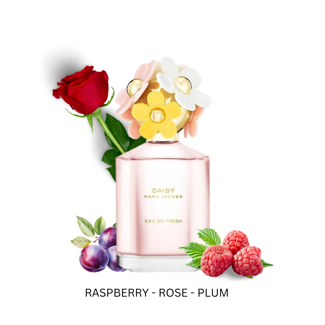 DaisyEauSoFreshForWomenByMarcJacobsEauDeToiletteSpray_20231203_113809_0000.png