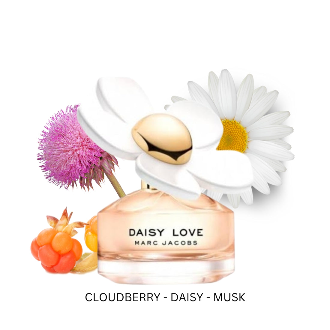 DaisyLoveForWomenByMarcJacobsEaudeToiletteSpray_20231230_165840_0000.jpg
