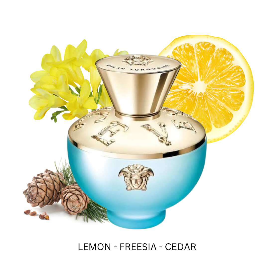 DylanTurquoiseForWomenByVersaceEaudeToiletteSpray_20231203_133207_0000.png